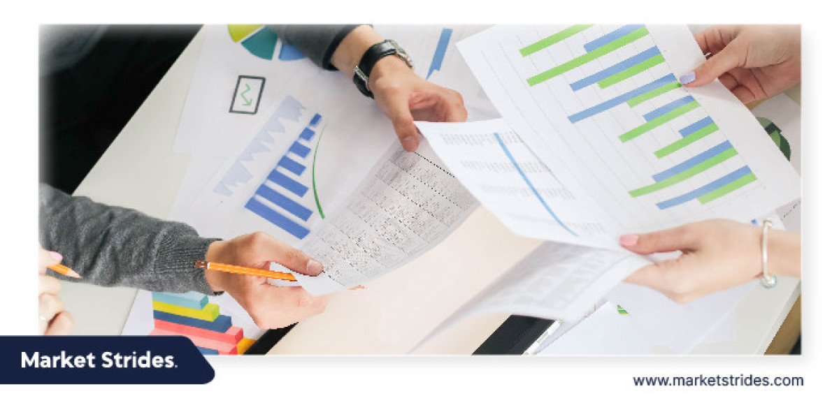 Security Screening System Market Industry Report 2025-2033: Future Trends and Growth Analysis