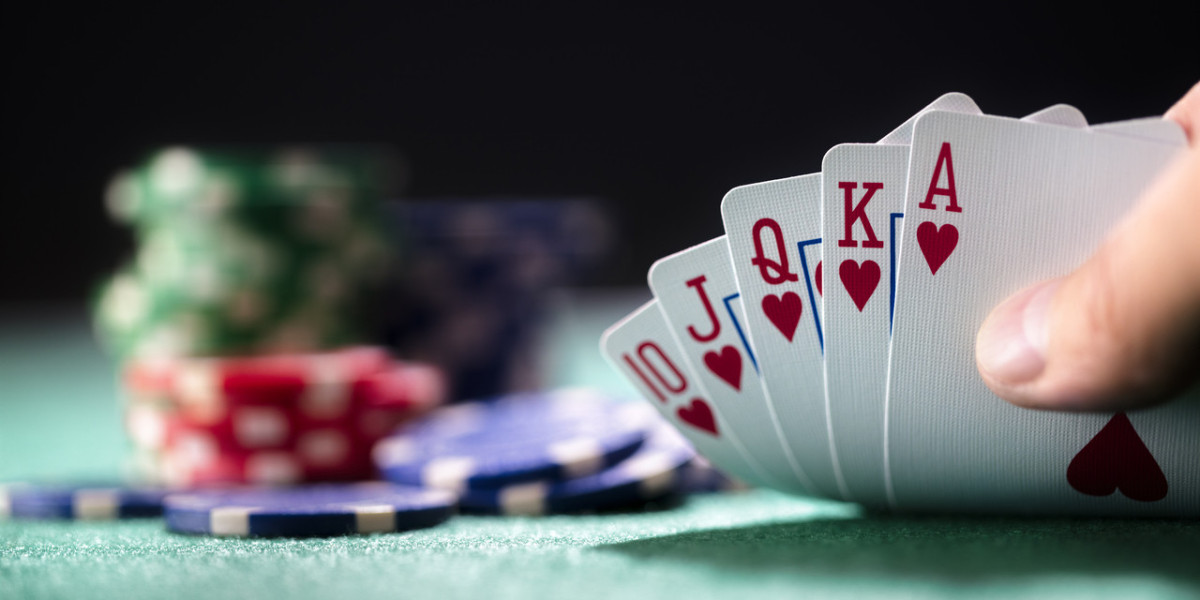 Explore the Thrilling World of Playing Sites