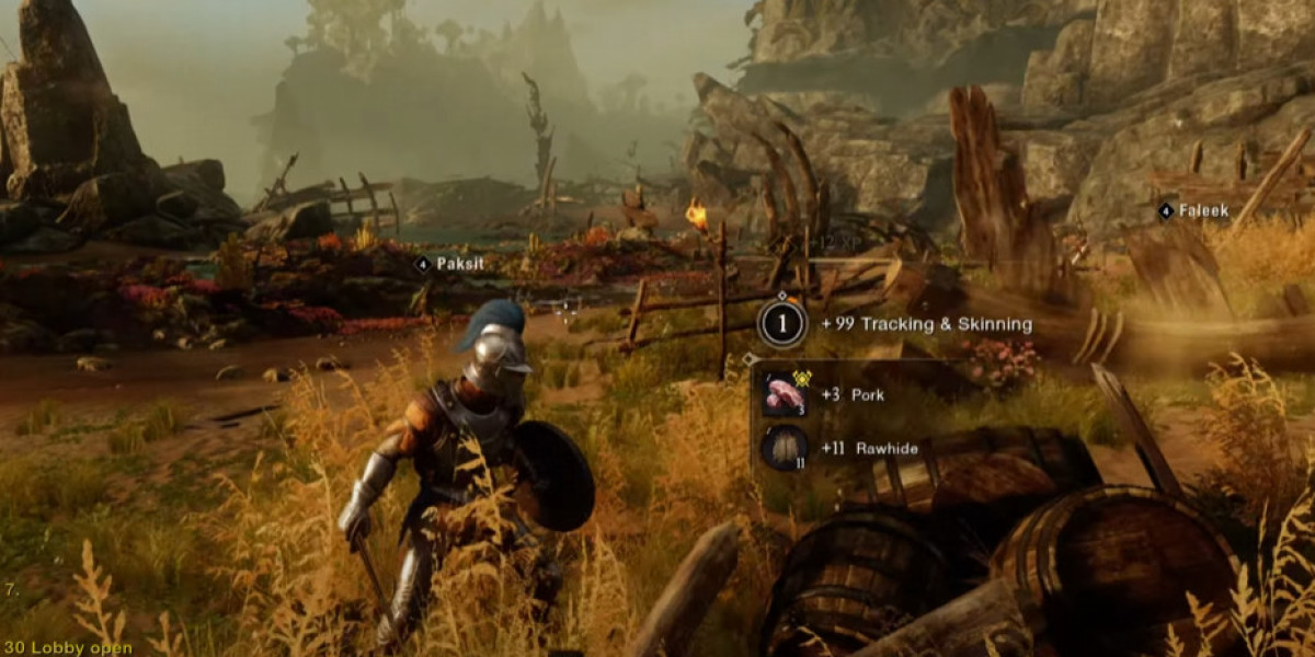 ELD.gg Amazon’s New World: MMORPG Innovation Meets Classic Gameplay
