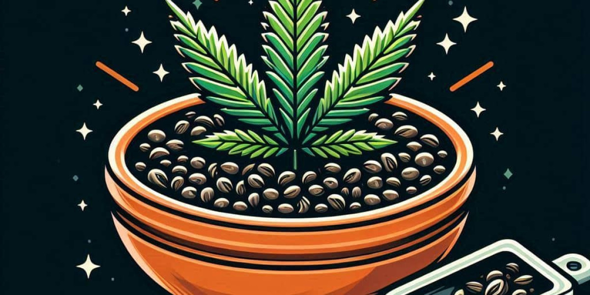 The Secret to Dense, Trichome-Heavy Buds: Jack Herer Marijuana
