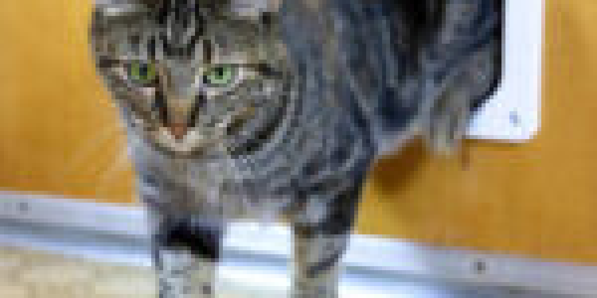 How To Tell If You're Prepared For Cat Door Experts
