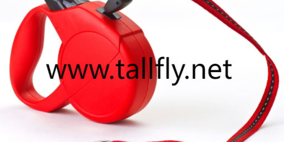 Transform Walks With Thoughtfully Designed Pet Accessories