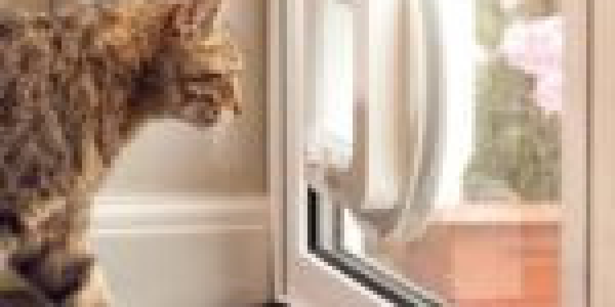 Cat Door Placement: A Simple Definition