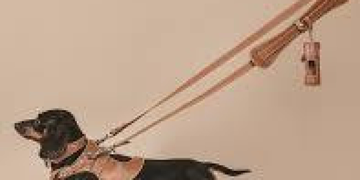 Leashes That Go the Distance