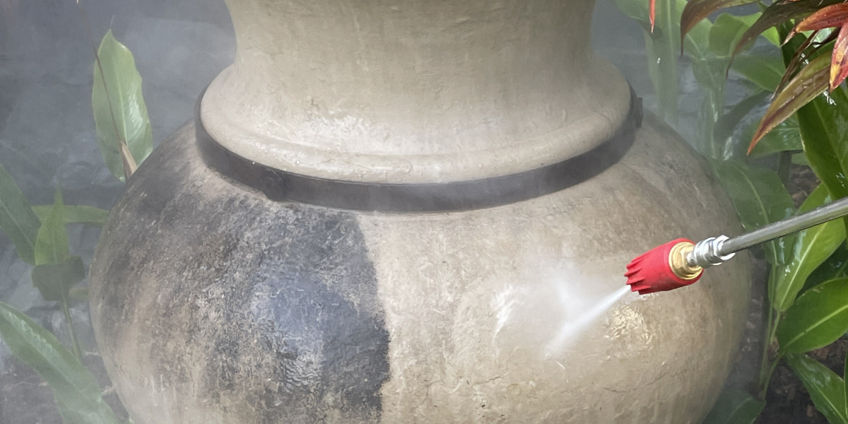 Wise Choices Offers Expert Softwash & Pressure Cleaning Services in Gold Coast