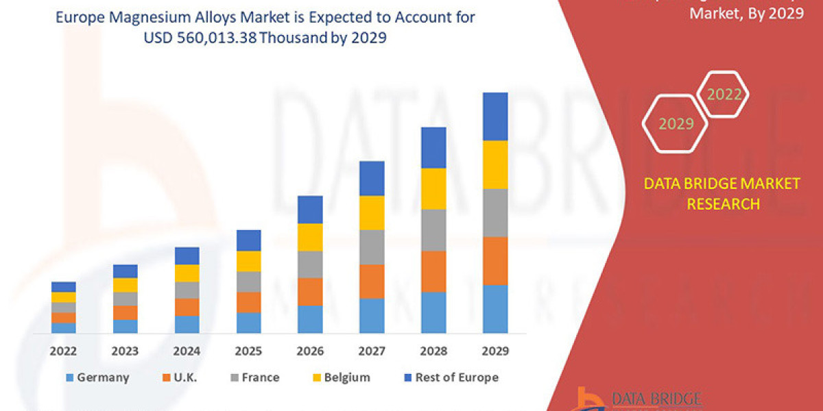 Europe Magnesium Alloys Market Size, Share, Trends, Growth Opportunities and Competitive Outlook