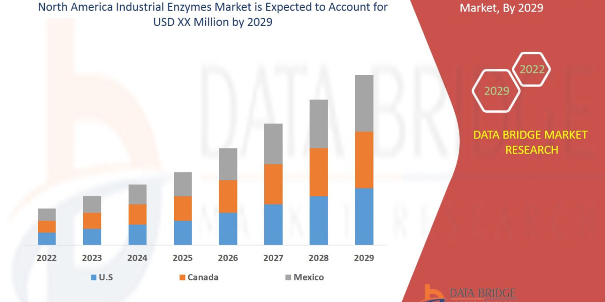 North America Industrial Enzymes Market Advances with Biotechnology and Green Chemistry Applications