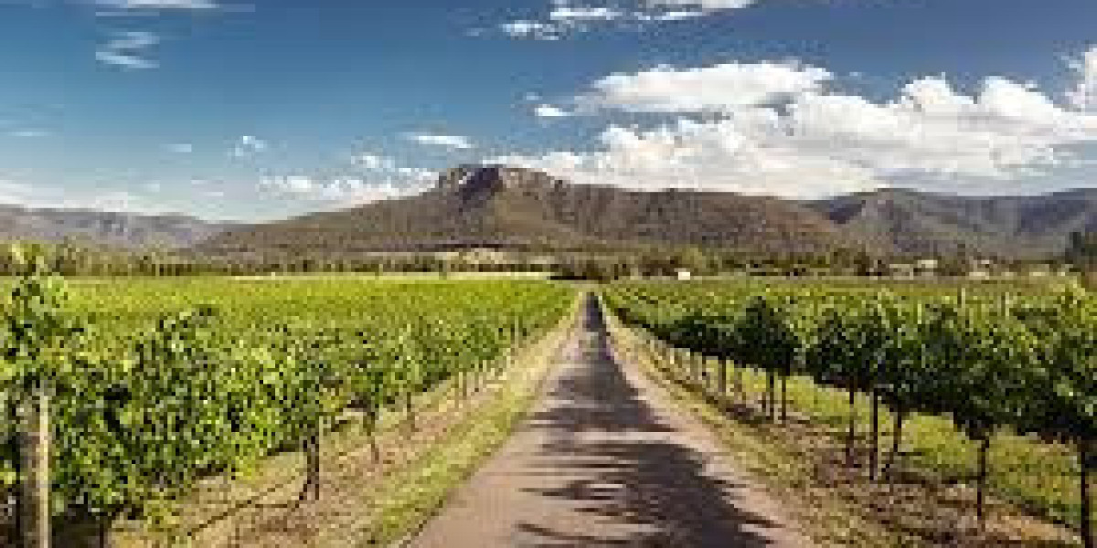 How Do the Best Wineries in Australia Provide a Premium Experience?