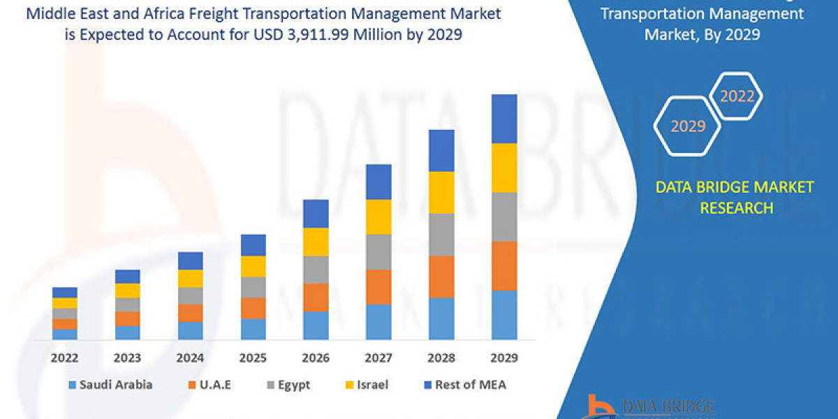 Middle East and Africa Freight Transportation Management Market Size, Challenges and Competitive Outlook