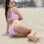 Delhi Hotel escorts service