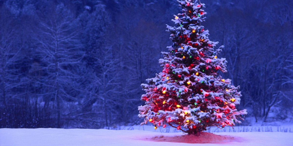 Top 10 Christmas Tree Decorating Ideas for a Magical Holiday