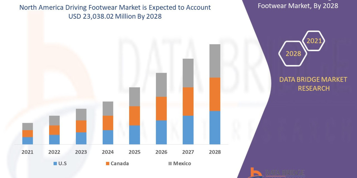 North America Driving Footwear Market Sees Growth Amidst Luxury and Performance Segments