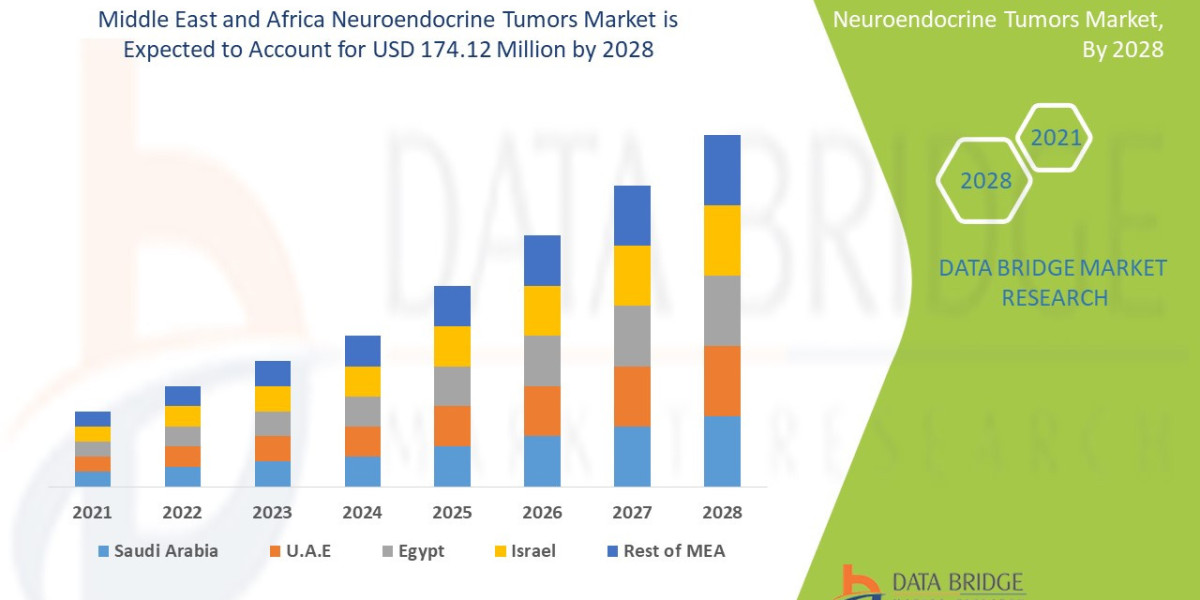 Neuroendocrine Tumors Market in Middle East and Africa Expands Due to Increasing Cancer Awareness