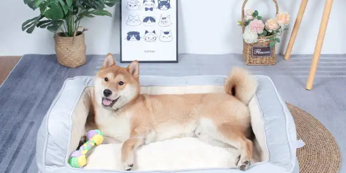 Pet Comfort at Home: Bedding Tips That Matter